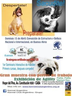 Imagen destacada del artículo «Exposición en Buenos Aires»